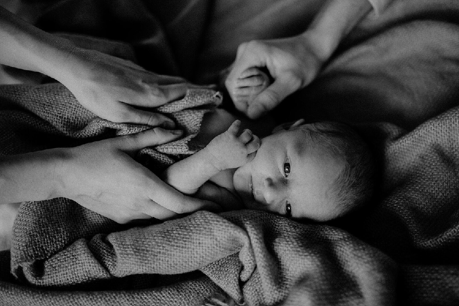 babyfotografie zwart.wit met handen ouders